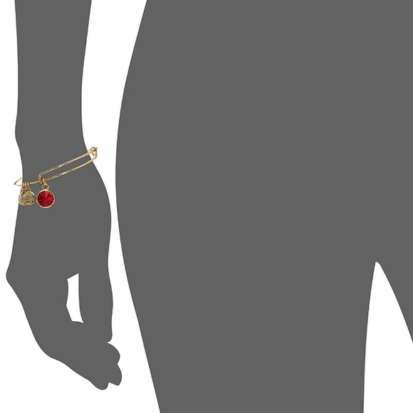 🆕ALEX & ANI | July Birthstone Bracelet - Picture 3 of 3